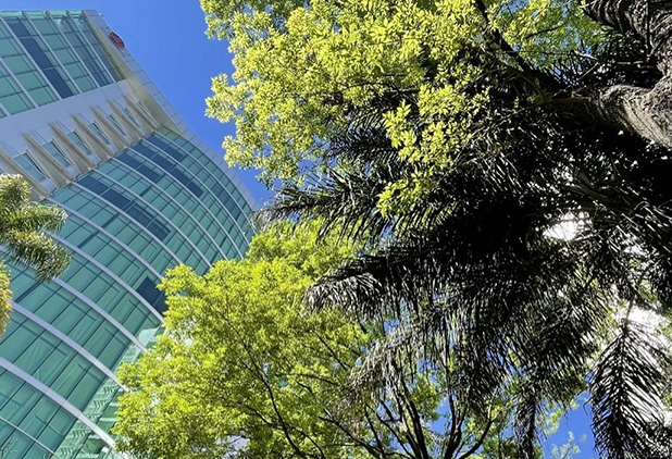 puntoSaoPaulo-img